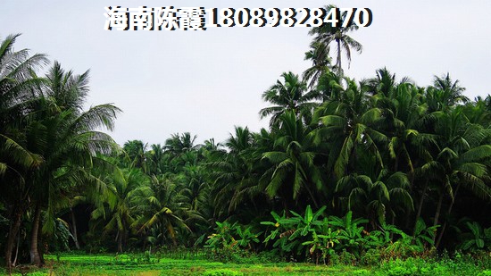 万宁兴隆镇公寓