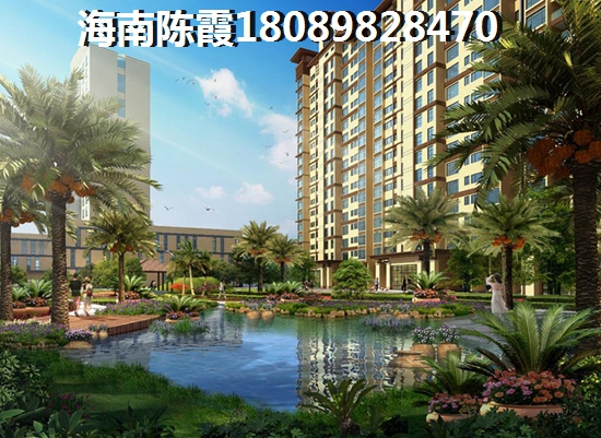 拾美海域纸不纸得买