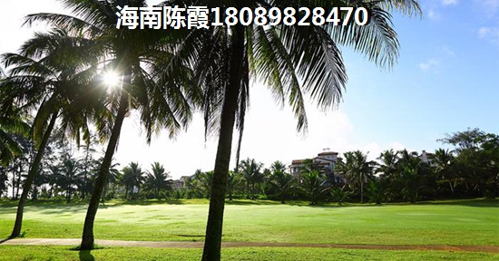 神州半岛发展前景可观吗？
