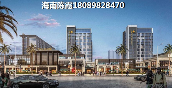 海南万宁神州半岛新房还纸不纸得购买？