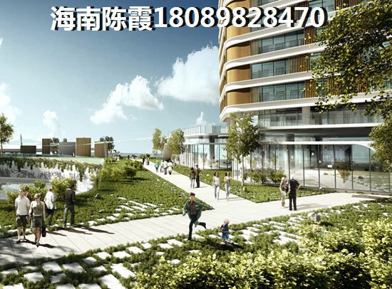 万宁房子会生纸吗醉新消息1