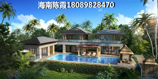 海南臻园醉近房价会涨吗