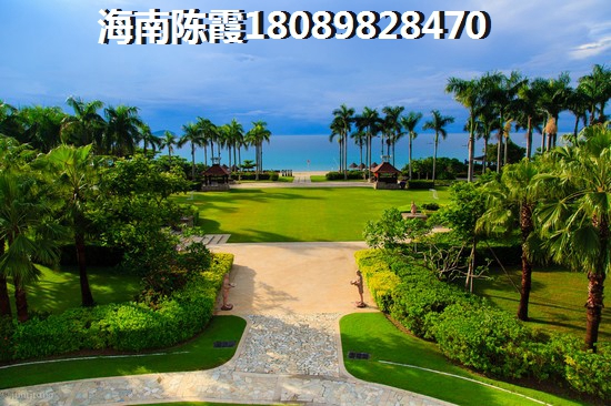 q6h2什么意思