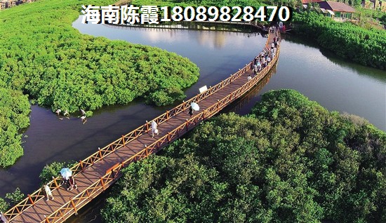 海南万城春天