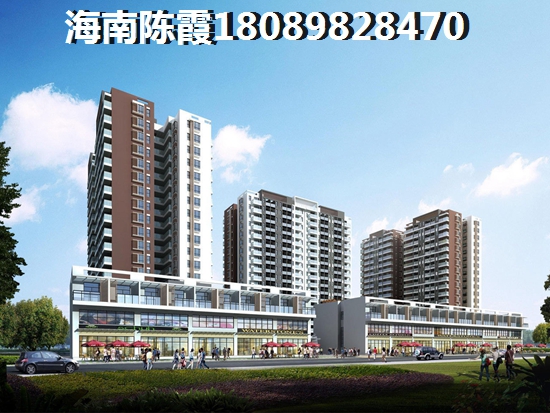 万宁保利房子哪些买了会生纸
